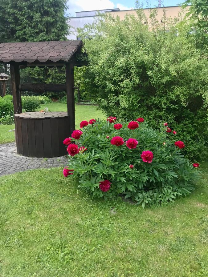Mily Apartament Ustrzyki Dolne Bagian luar foto